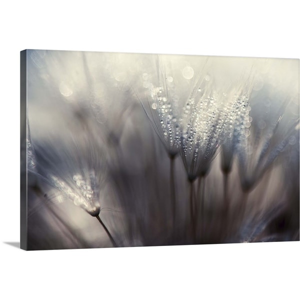 Shop "The Forest" Canvas Wall Art - On Sale - Overstock - 21001760